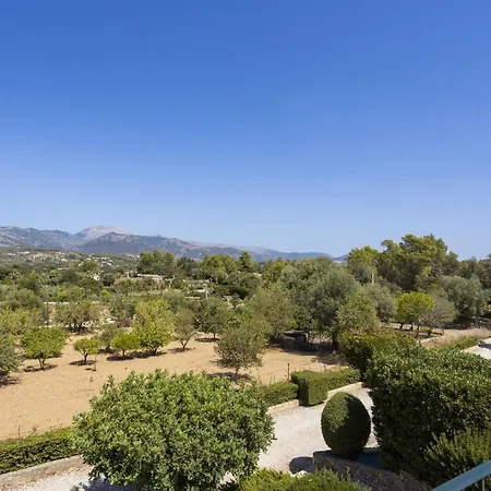 Alzina 454 Selva (Mallorca)